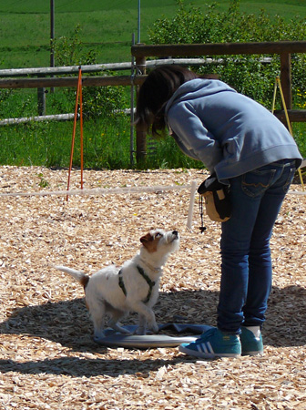 Kind-mit-Hund-Kurse – Hundeschule Guggisberg