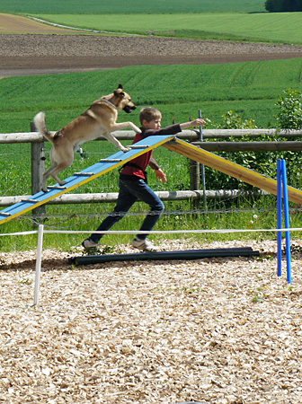 Kind-mit-Hund-Kurse – Hundeschule Guggisberg
